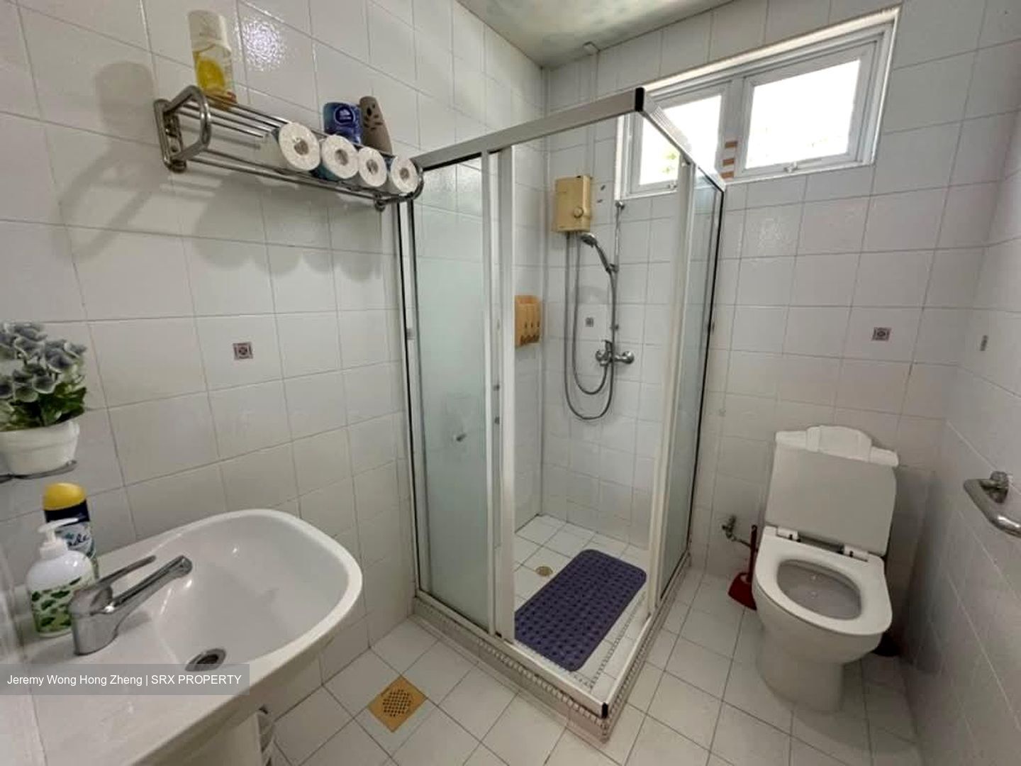 Seletar Hills Estate (D28), Semi-Detached #536111941